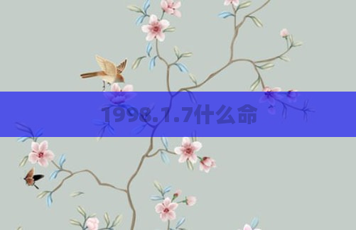 1998.1.7什么命