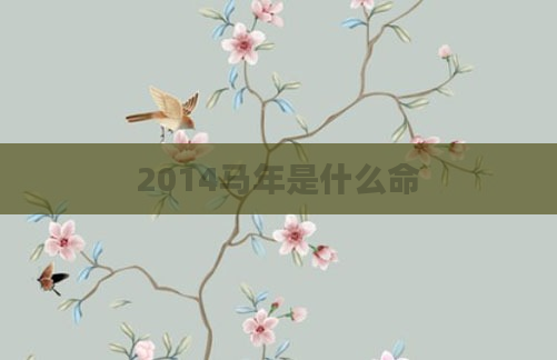 2014马年是什么命