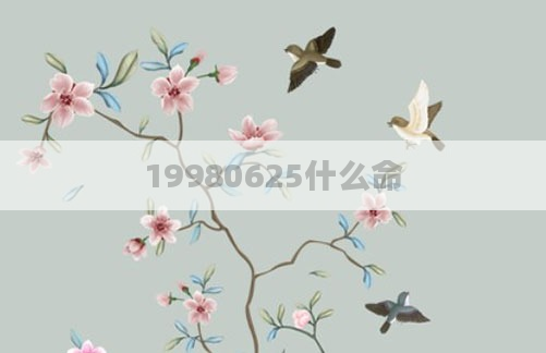 19980625什么命
