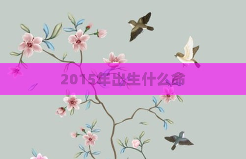 2015年出生什么命
