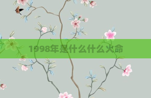 1998年是什么什么火命