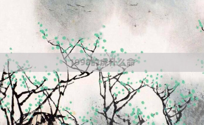 1998的虎什么命