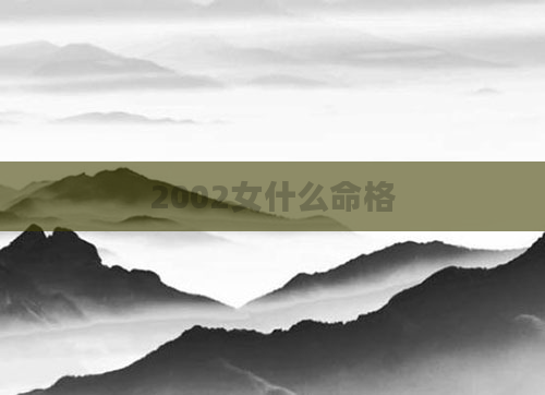2002女什么命格