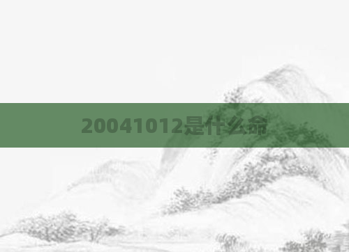 20041012是什么命