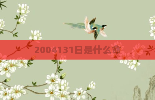 2004131日是什么命