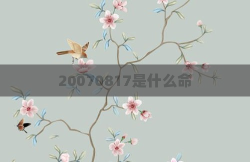 20070817是什么命