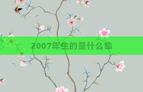 2007年生的是什么命
