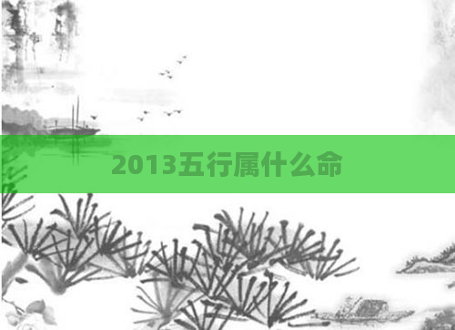 2013五行属什么命