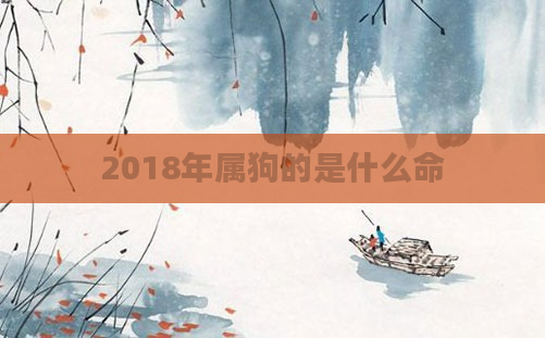 2018年属狗的是什么命