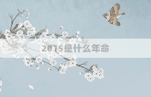 2015是什么年命