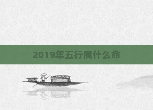 2019年五行属什么命