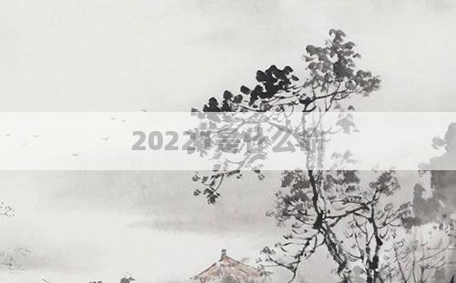20221是什么命