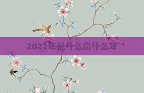 2022年是什么命什么年