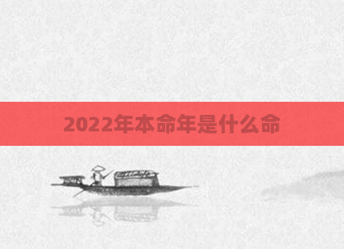 2022年本命年是什么命