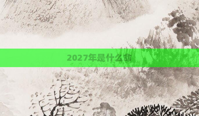 2027年是什么命