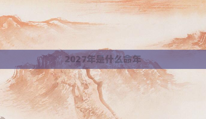 2027年是什么命年