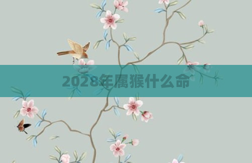 2028年属猴什么命