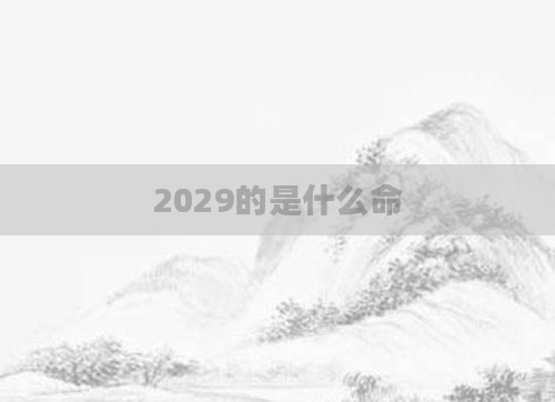 2029的是什么命