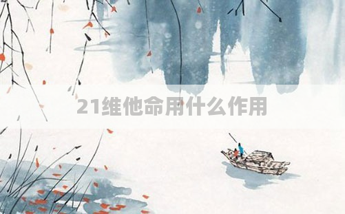 21维他命用什么作用