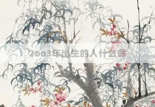 2oo3年出生的人什么命