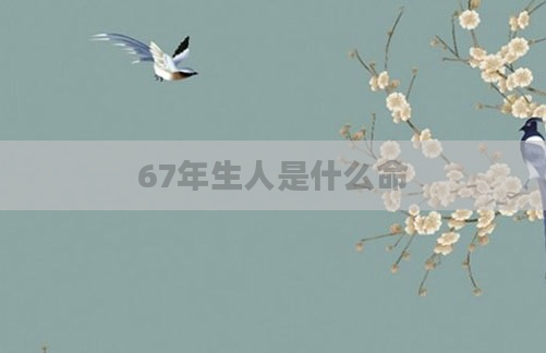 67年生人是什么命