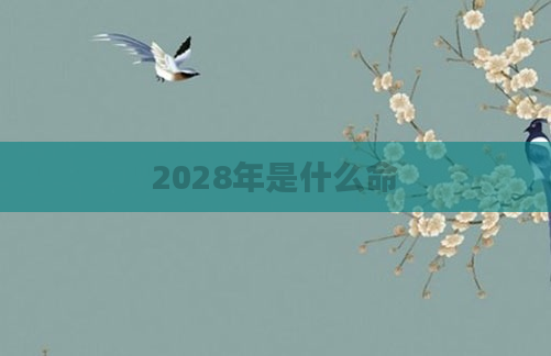 2028年是什么命