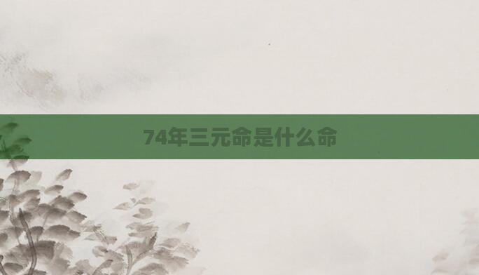 74年三元命是什么命