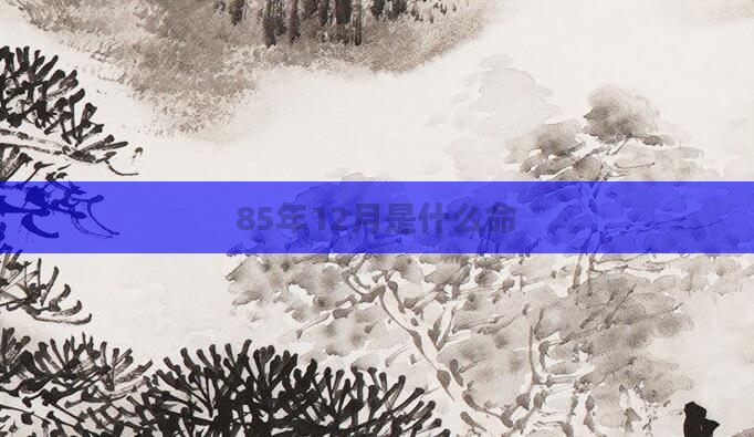 85年12月是什么命