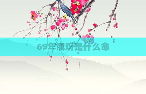 69年属鸡是什么命