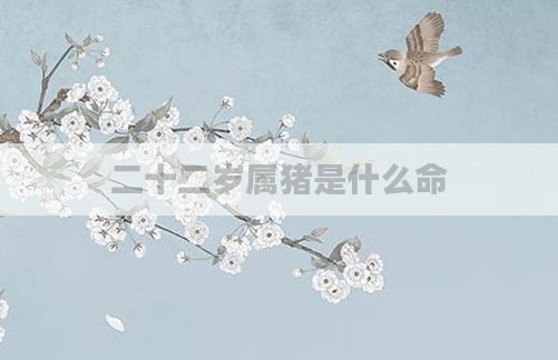 二十二岁属猪是什么命