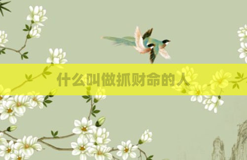什么叫做抓财命的人