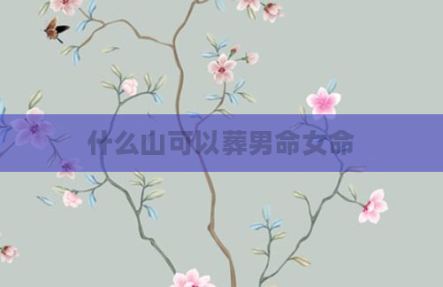 什么山可以葬男命女命