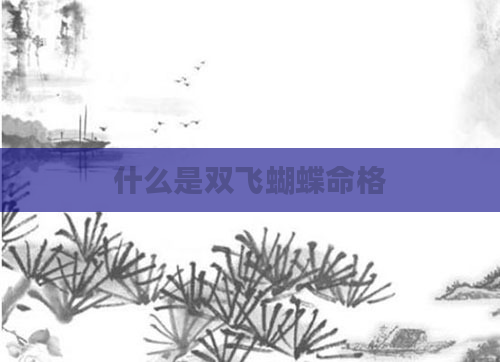 什么是双飞蝴蝶命格