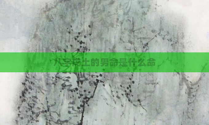 八字戊土的男命是什么命