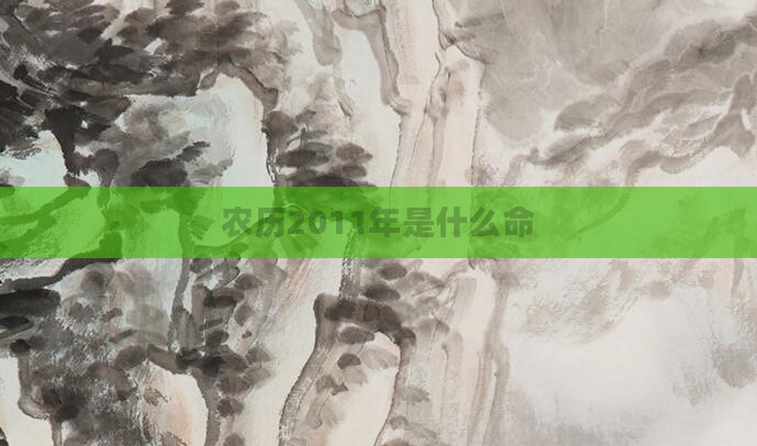 农历2011年是什么命
