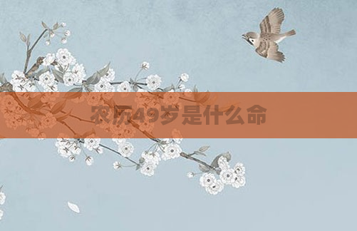 农历49岁是什么命