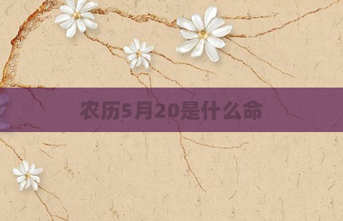 农历5月20是什么命