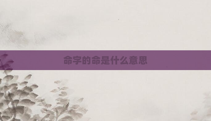 命字的命是什么意思