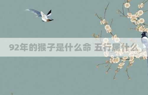 92年的猴子是什么命 五行属什么