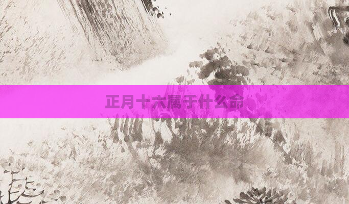 正月十六属于什么命