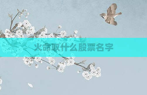 火命取什么股票名字