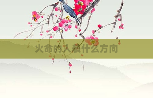 火命的人装什么方向