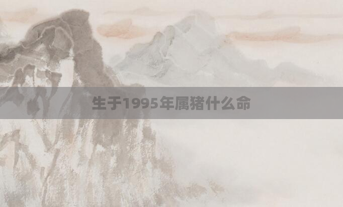 生于1995年属猪什么命