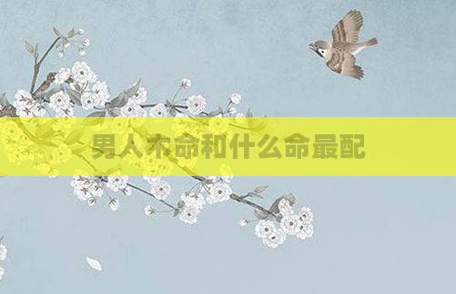 男人木命和什么命最配