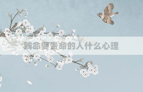 贱命娶贵命的人什么心理