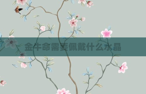 金牛命需要佩戴什么水晶