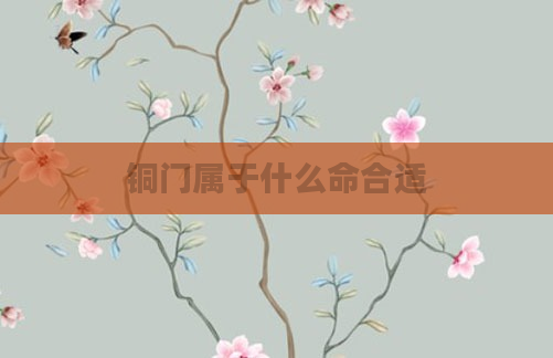 铜门属于什么命合适