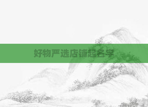 好物严选店铺起名字