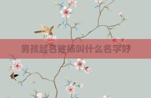 男孩起名姓杨叫什么名字好