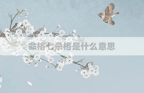 命格七杀格是什么意思